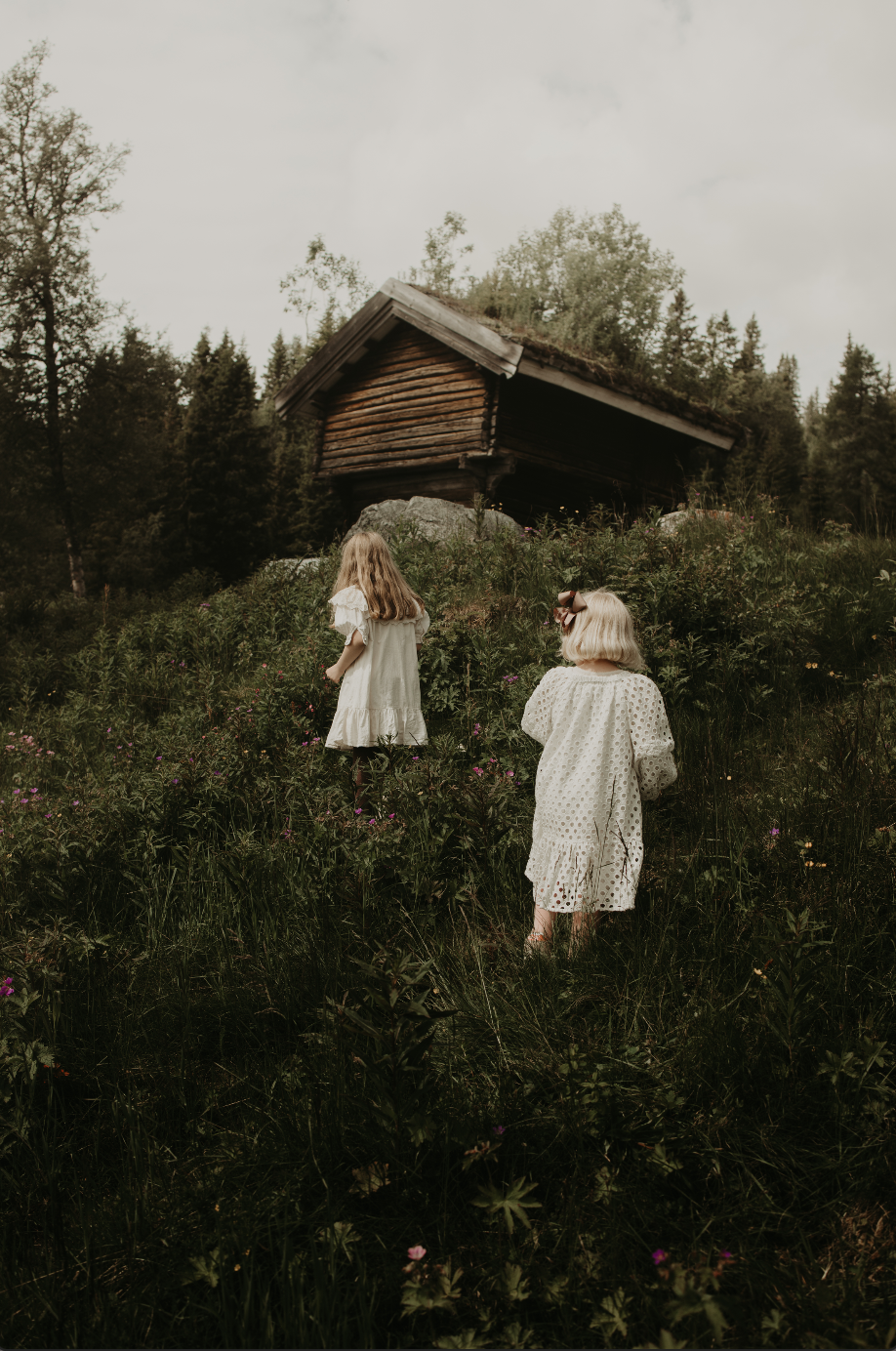 Grunnpakke for små bedrifter